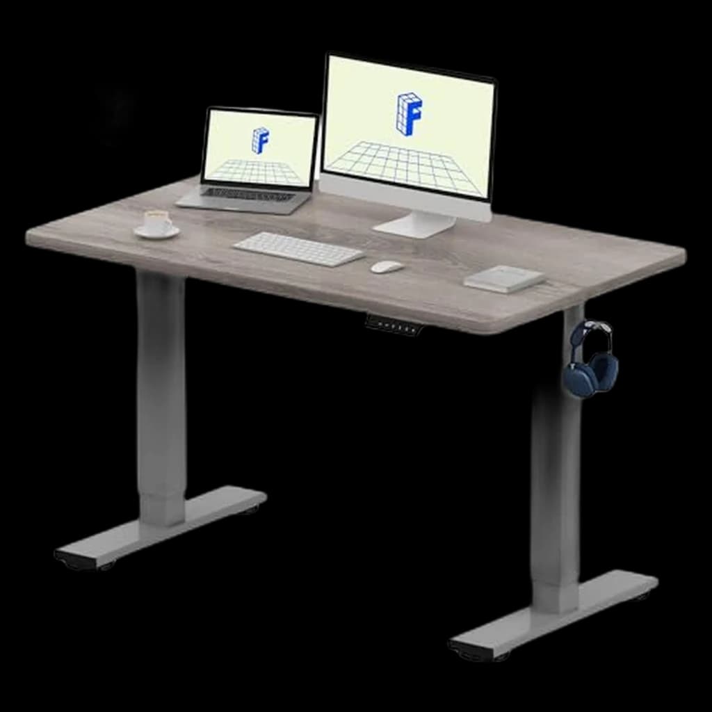 FlexiSpot EN1